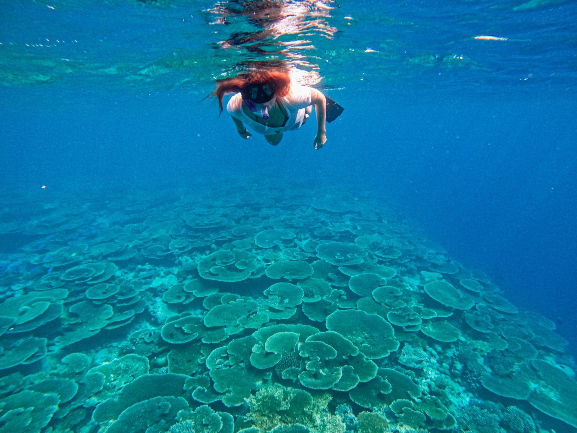 Manta Sea View Himandhoo 호텔 외부 사진